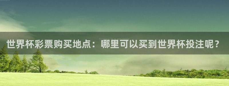 亚洲杯足球：世界杯彩票购买地点：哪里可以买到世界杯投注呢？