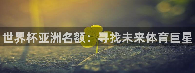 2026世界杯中国队：世界杯亚洲名额：寻找未来体育巨星