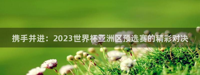 世界杯预选赛排名：携手并进：2023世界杯亚洲区预选赛的精彩对决