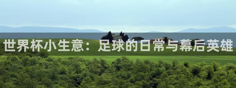 2026世界杯官网：世界杯小生意：足球的日常与幕后英雄