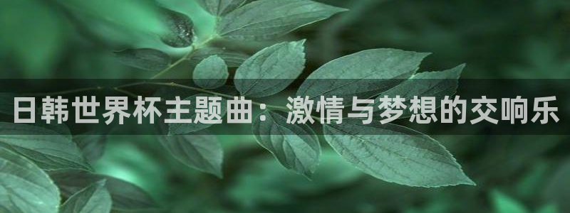 2026世界杯赛程时间表最新：日韩世界杯主题曲：激情与梦想的交响乐