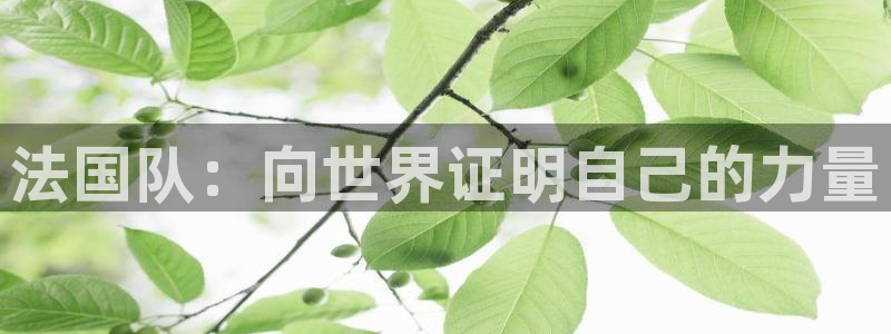 欧联杯直播：法国队：向世界证明自己的力量