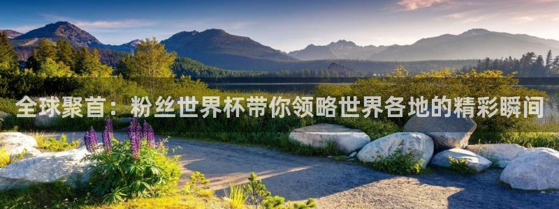 2026年世界杯时间表：全球聚首：粉丝世界杯带你领略世界各地的精彩瞬间