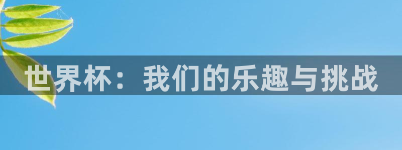 世界杯决赛预测：世界杯：我们的乐趣与挑战