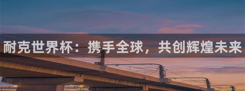 世界杯对阵表：耐克世界杯：携手全球，共创辉煌未来